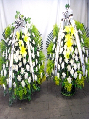ȸ