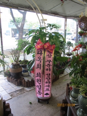 뿱ȫ