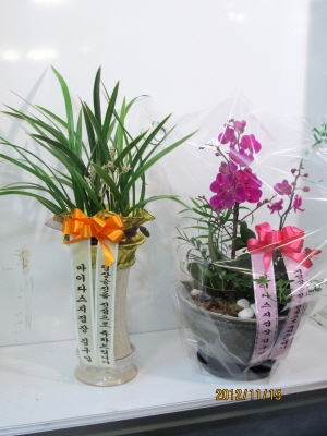 繫