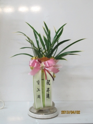 糭(ݱ)
