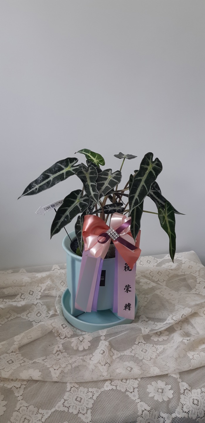  *   źϾ˷īþ